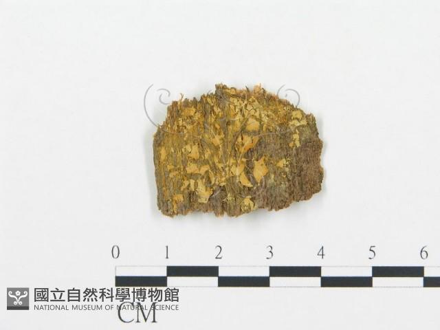 登錄號:F0017823藏品圖，第1張