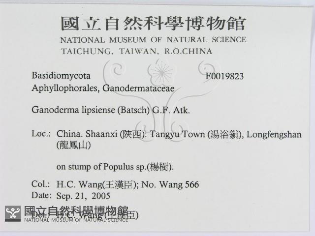 登錄號:F0019823藏品圖，第3張