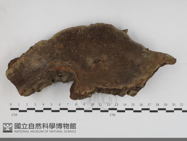 登錄號:F0033823藏品圖，第1張