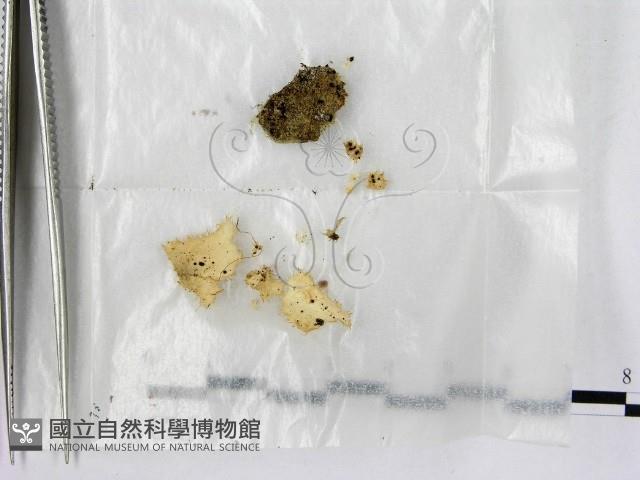 登錄號:F0001923藏品圖，第1張