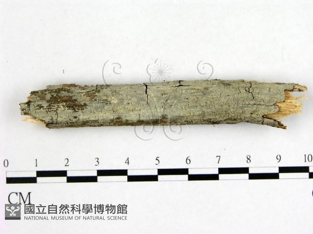 登錄號:F0007923藏品圖，第1張