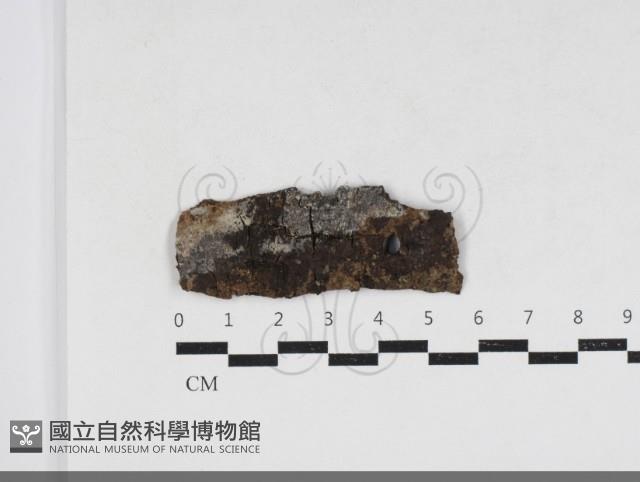 登錄號:F0033923藏品圖，第1張