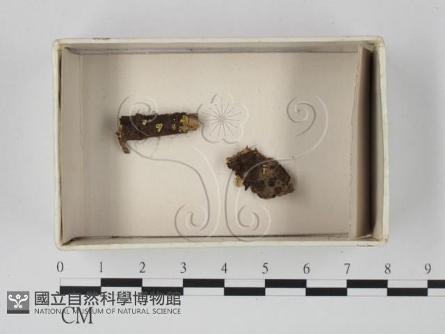 登錄號:F0020623藏品圖，第1張