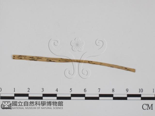 登錄號:F0011623藏品圖，第1張