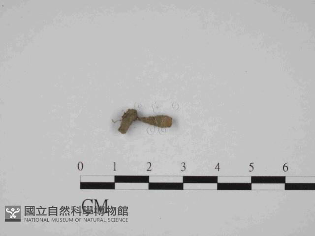 登錄號:F0014623藏品圖，第1張