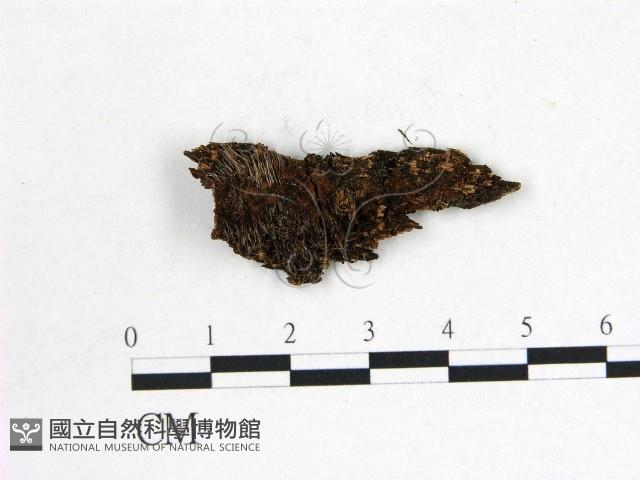 登錄號:F0022623藏品圖，第1張