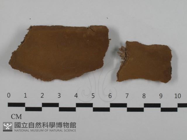 登錄號:F0032623藏品圖，第1張