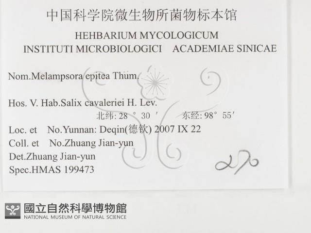 登錄號:F0026423藏品圖，第3張