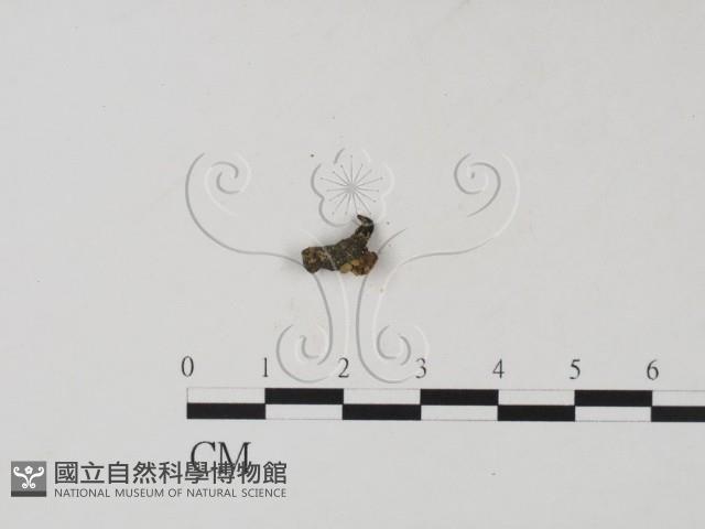 登錄號:F0001423藏品圖，第1張