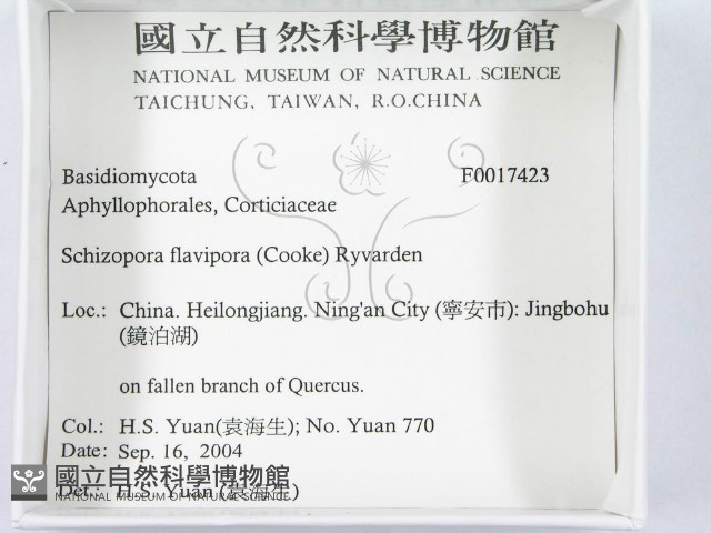 登錄號:F0017423藏品圖，第3張