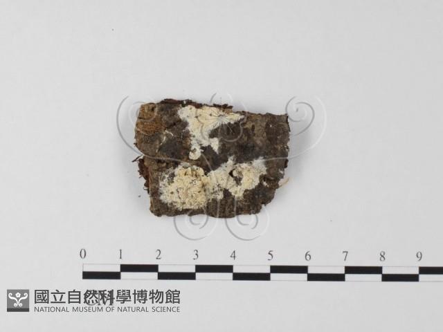 登錄號:F0015423藏品圖，第1張
