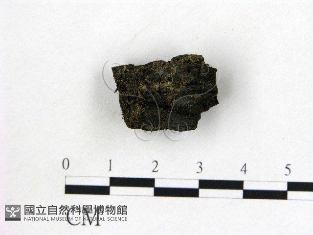 登錄號:F0003423藏品圖，第1張