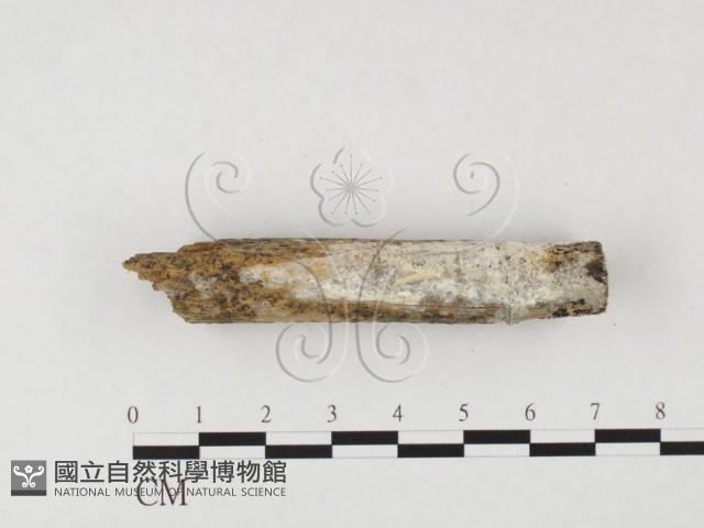 登錄號:F0026723藏品圖，第1張