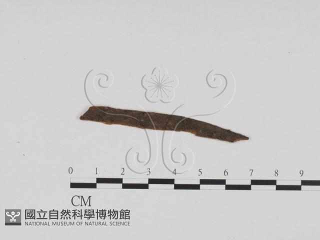 登錄號:F0011723藏品圖，第1張