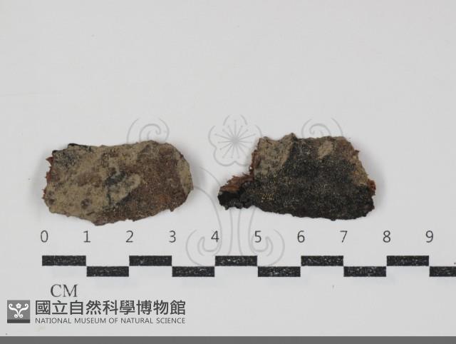 登錄號:F0034723藏品圖，第1張