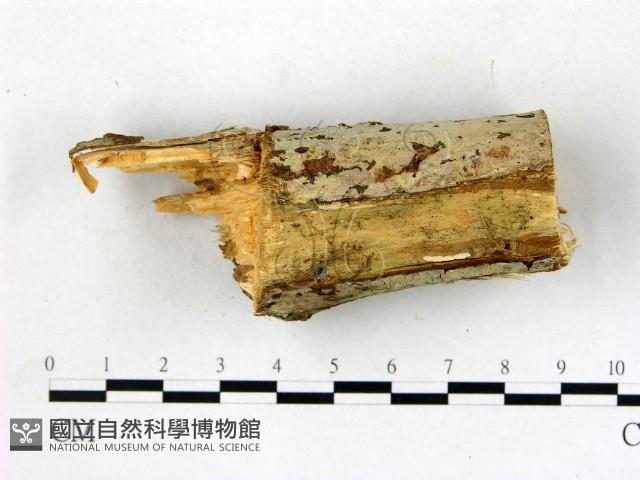 登錄號:F0022723藏品圖，第1張