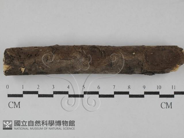 登錄號:F0029723藏品圖，第1張