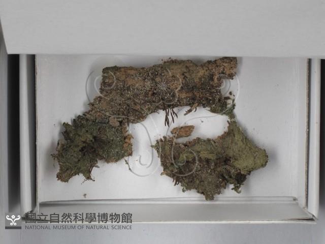 登錄號:F0018523藏品圖，第1張