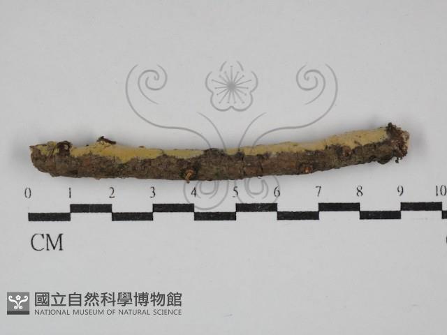 登錄號:F0030523藏品圖，第1張