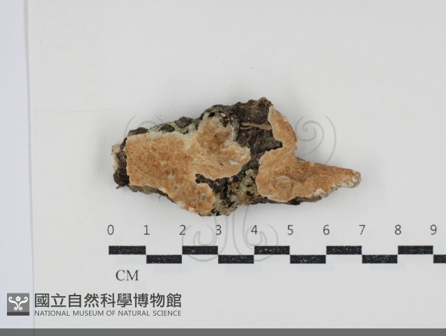 登錄號:F0034523藏品圖，第1張