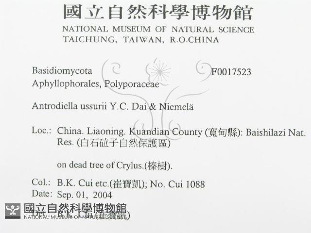 登錄號:F0017523藏品圖，第3張