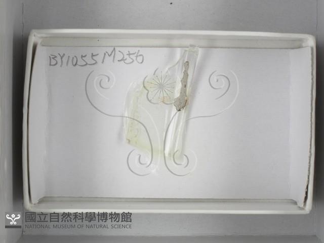 登錄號:F0018123藏品圖，第1張