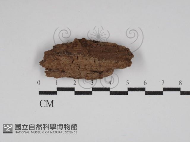 登錄號:F0030123藏品圖，第1張