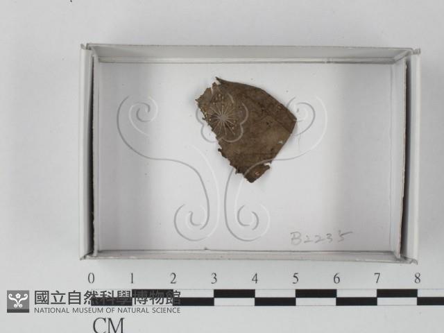 登錄號:F0021123藏品圖，第1張
