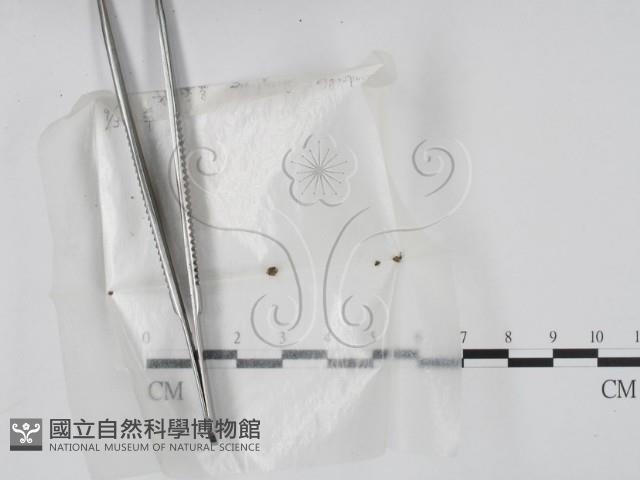 登錄號:F0001123藏品圖，第1張
