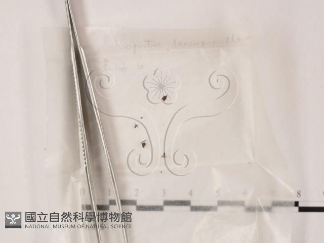 登錄號:F0002123藏品圖，第1張