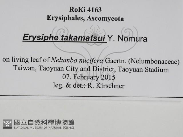 登錄號:F0031023藏品圖，第3張