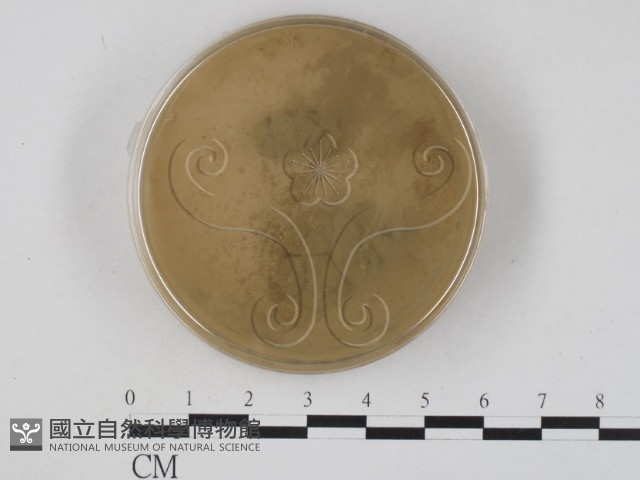 登錄號:F0008323藏品圖，第1張