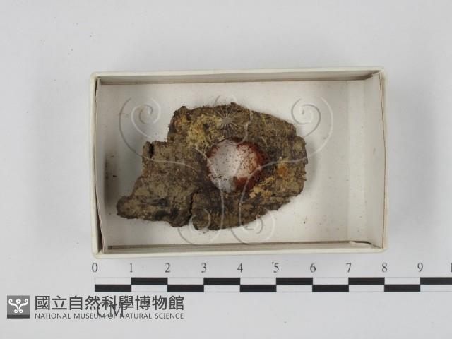 登錄號:F0018323藏品圖，第1張