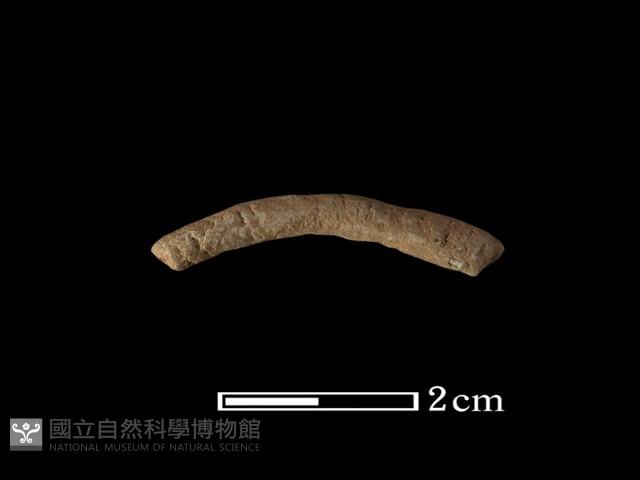 陶環藏品圖，第2張