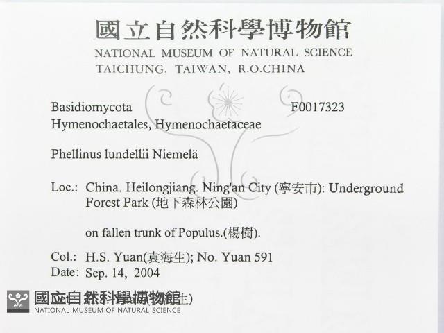 登錄號:F0017323藏品圖，第3張