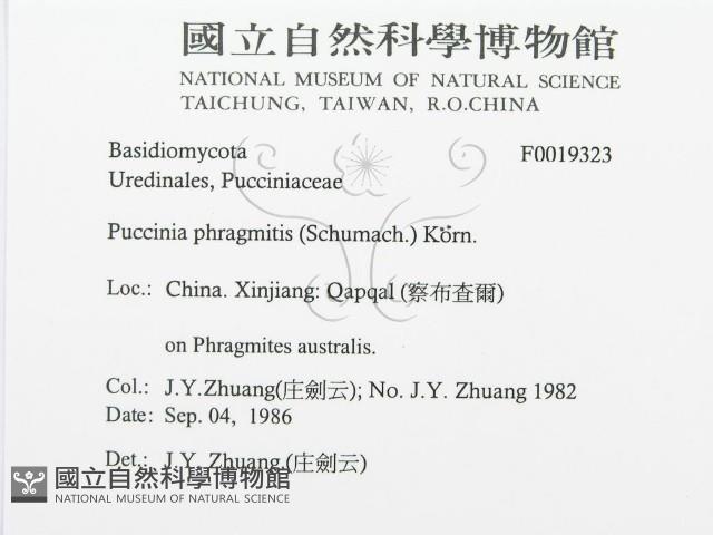 登錄號:F0019323藏品圖，第3張