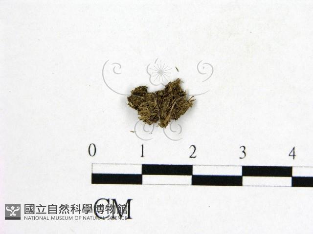 登錄號:F0000203藏品圖，第1張