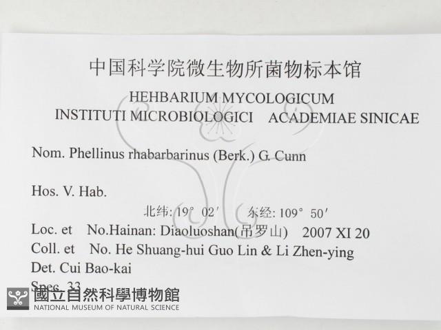 登錄號:F0026203藏品圖，第3張