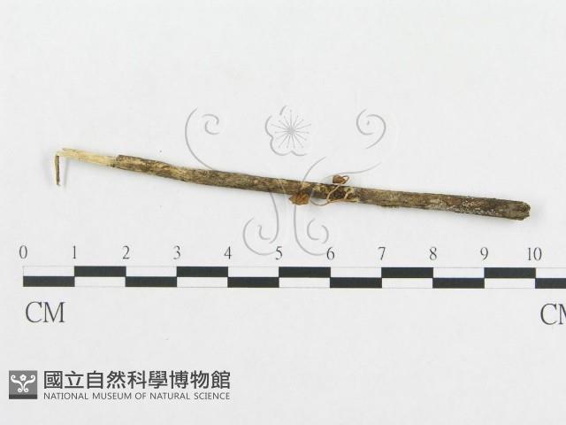 登錄號:F0011203藏品圖，第1張