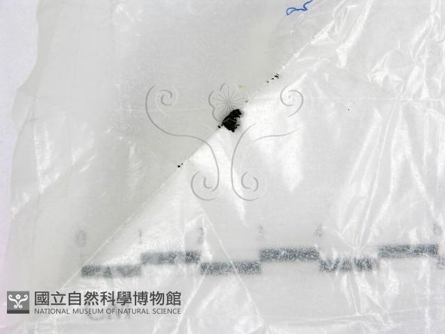 登錄號:F0017203藏品圖，第1張