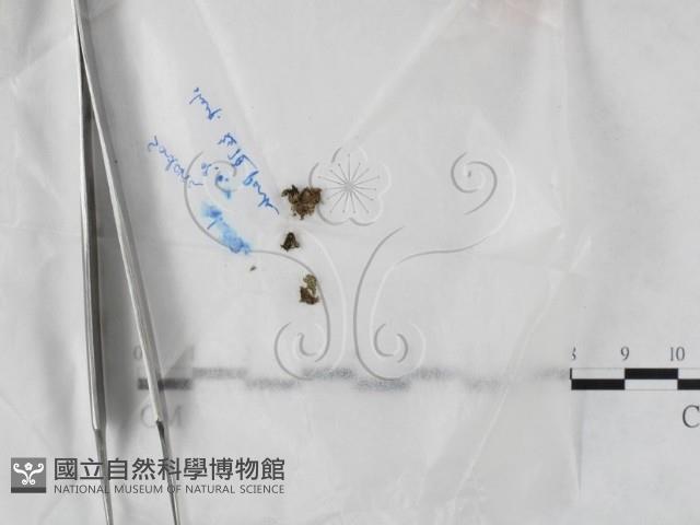 登錄號:F0023203藏品圖，第1張