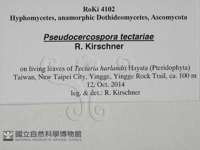 登錄號:F0028803藏品圖，第3張