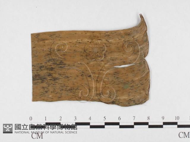 登錄號:F0026803藏品圖，第1張