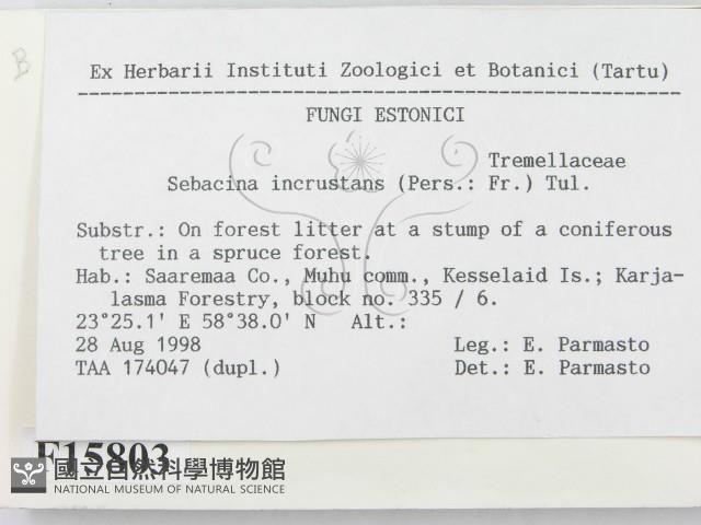 登錄號:F0015803藏品圖，第3張