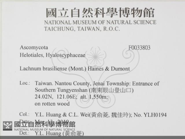 登錄號:F0033803藏品圖，第1張