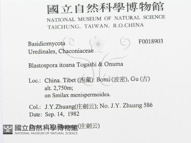 登錄號:F0018903藏品圖，第3張
