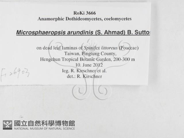 登錄號:F0026903藏品圖，第3張