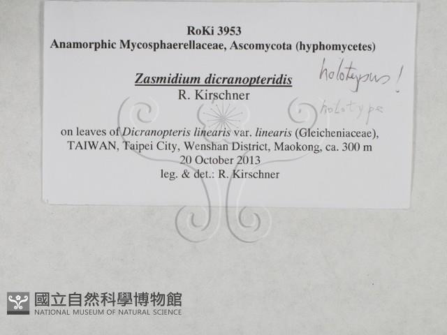 登錄號:F0027903藏品圖，第3張