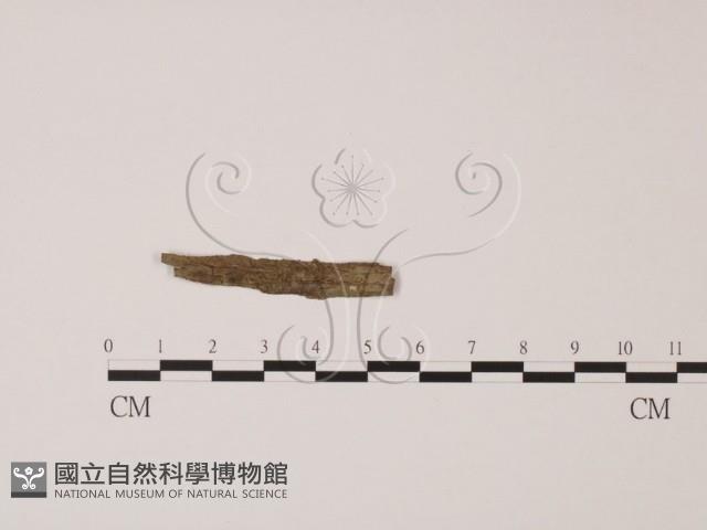 登錄號:F0002603藏品圖，第1張