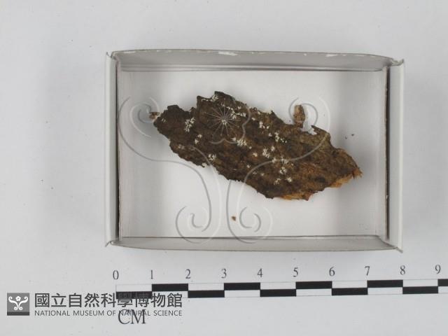 登錄號:F0018403藏品圖，第1張